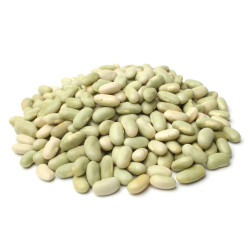 HARICOT BLANC MOGETTE 10X500G